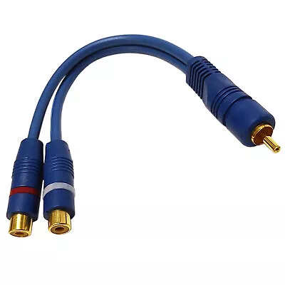 Kaufen Audio Y-Kabel Cinch Vergoldet 20cm Y-Adapter Verteiler Weiche Subwooferkabel RCA • 5.45€