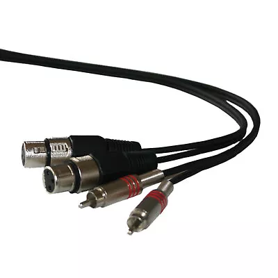 Kaufen IBIZA CM3RXF-2 Adapterkabel XLR/Chinch 3m Veranstaltung Bühne Musik Audio • 6.95€