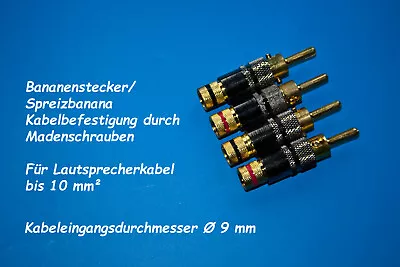 Kaufen Bananenstecker Kabelschuhe & Cinchstecker Neu Von  T+A DOS Oehlbach Sintron • 14.99€