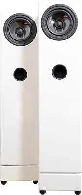 Kaufen Ascendo C6 Hifi Lautsprecher, Weiß Lackiert • 1,750€