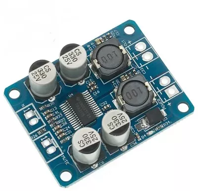 Kaufen Verstärker TPA3118 60W Mono Digital Amplifier Board 8-24V Class D Platine Modul • 7.75€