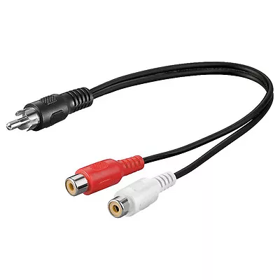Kaufen Y Adapter Kabel Chinch Stecker 2x Cinch Kupplung 0,2m • 3.99€