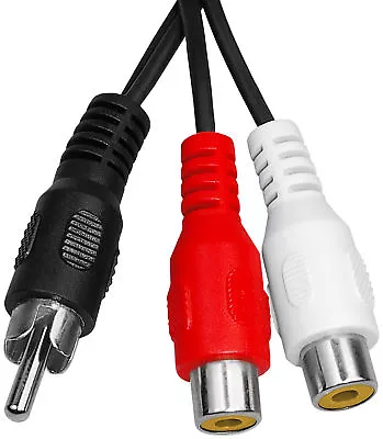 Kaufen Mumbi Cinch Y-Adapter Audio Verteiler 1x Stecker Zu 2x Buchse RCA Splitter Kabel • 2.99€