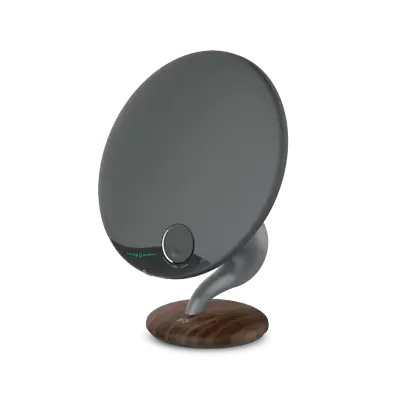 Kaufen XQISIT Hi-Fi Speaker Bluetooth Lautsprecher Retro-Design Holzoptik Schwarz • 79.95€