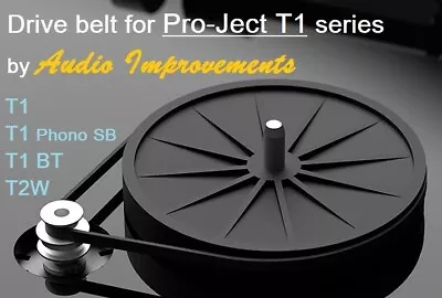 Kaufen Pro-Ject T1 Series Genuine AUDIO IMPROVEMENTS Drive Belt • 12.99€