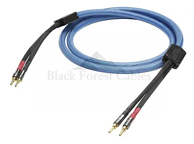 Kaufen Sonmercable QBC8-280 LS-Kabel SC-Quadra Blue, 2 X 8,00 Mm² Banana/Banana HICON • 1,799.99€
