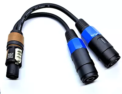 Kaufen Adapter Y-Kabel Splitter Neutrik Speakon Stecker Speaker Kupplung 2 X 2, 5 Mm² • 22.95€