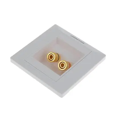 Kaufen Buchsen Lautsprecherdose Anschluss Wandsteckdose Mit Vergoldeten Schraubklemmen • 7.93€