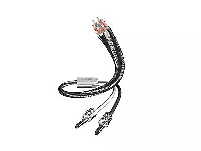 Kaufen 2x 3,0m Inakustik Referenz LS-603 Lautsprecherkabel Single Wire  Easy Plug 3m • 549€