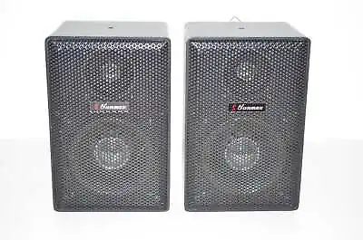 Kaufen 2x Lautsprecher / Boxen Von Sunmax - Model 2808 - 2way - 4ohm - Metallgehäuse  • 39.99€