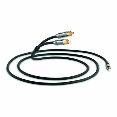 Kaufen QED Performance J2P Graphit Kabel Mit 3,5mm Klinke Auf Cinch 3,0mtr.(UVP:64,99€) • 55.90€