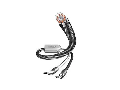 Kaufen 2x 3,0m Inakustik Referenz LS-803 Lautsprecherkabel Bi - Wire Mit Kabelschuh 3m • 1,027€