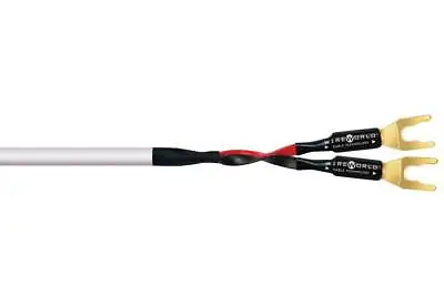 Kaufen WireWorld Stream 8 Single Wire Lautsprecherkabel Mit Kabelschuhen 1 Paar • 139€
