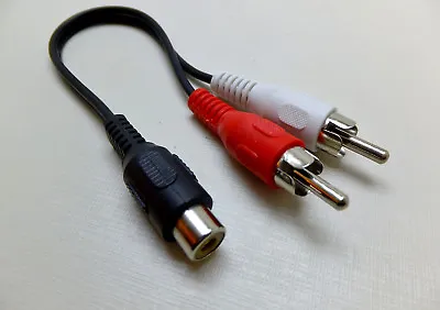 Kaufen 20 Cm Cinch Y-kabel Für Hifi Subwoofer Autoradio Verstärker, 1x Buchse-2xStecker • 4.50€