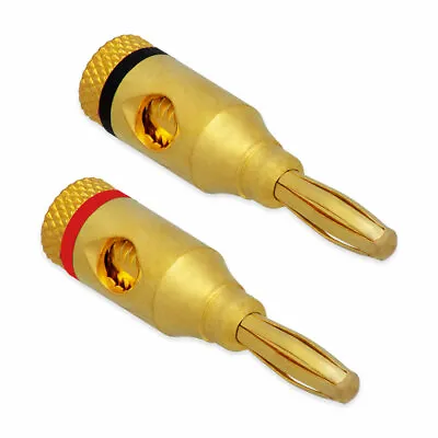 Kaufen Bananenstecker Lautsprecher Stecker Schraubbar 4 Mm Hifi 24K Vergoldet 2-20 Stk • 5.49€
