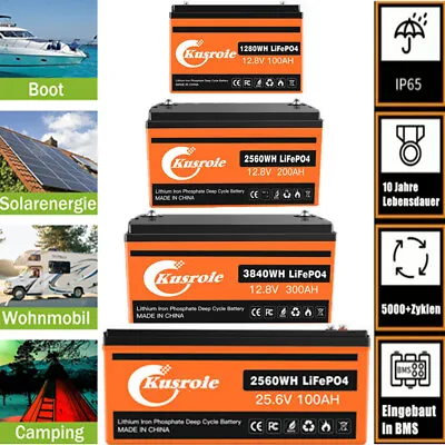 Kaufen Lithium Batterie 12V 100Ah LiFePO4 Akku Solarbatterie Für Wohnmobil Solar 200Ah  • 218.98€