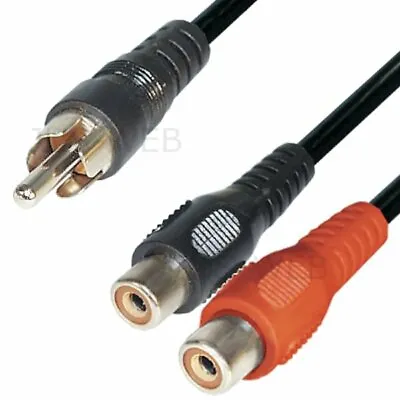 Kaufen Audio Kabel Cinch 0,2m RCA Y Verteiler Stecker 2 Buchsen Adapter Splitter • 3.69€