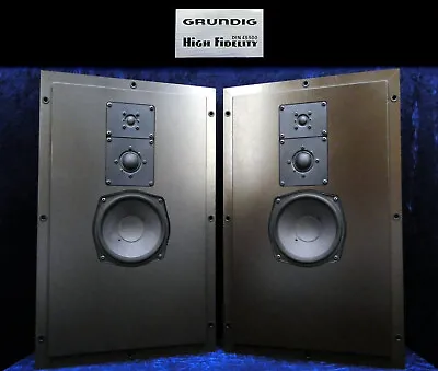 Kaufen Lautsprecher Boxen GRUNDIG BOX FL 10 Vintage German Flat Panel Speakers FL10 • 189.99€