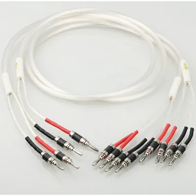 Kaufen OCC Versilbertes HiFi-Lautsprecherkabel Bi-Wire-Bananenstecker-Lautsprecherkabel • 158.27€