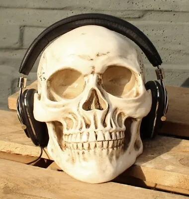 Kaufen CRAZY HEADS Lautsprecher-Fuß/Ständer/Halter CRAZY HEADS White Skull Totenkopf Ko • 39.99€