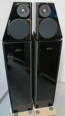 Kaufen Meridian D6000 Highend-Lautsprecher 1 Paar Boxen Speaker Rarität Selten D 6000 • 1,650€