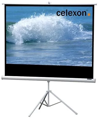 Kaufen Celexon Economy Line Stativ Leinwand White Edition 133x75cm 16:9 (Leinwand) • 106.90€